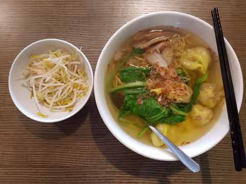 Wonton Egg Noodle Soup